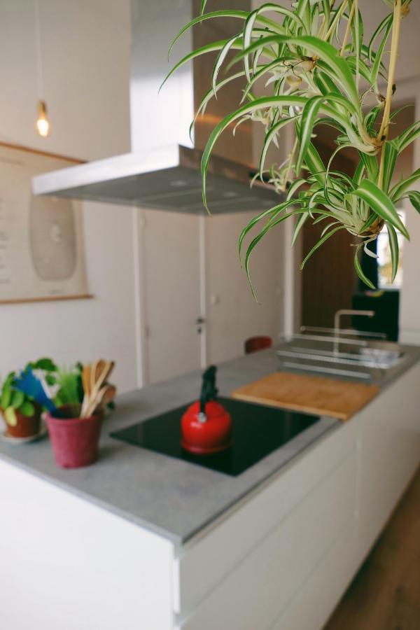 130Sqm Appartment With 20Sqm Terras And Free Parking 安特卫普 外观 照片